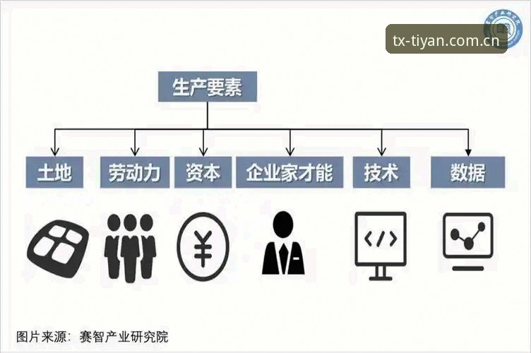 TX体坛最新版本下载全路径深度分析：从更新机制到获取策略的全面解读